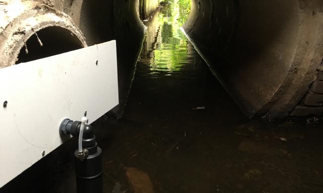 Regenwater in afvoer.