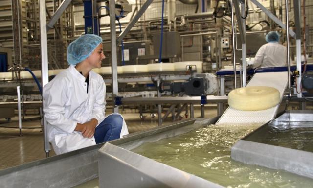 Collega Daniek in de zuivelfabriek